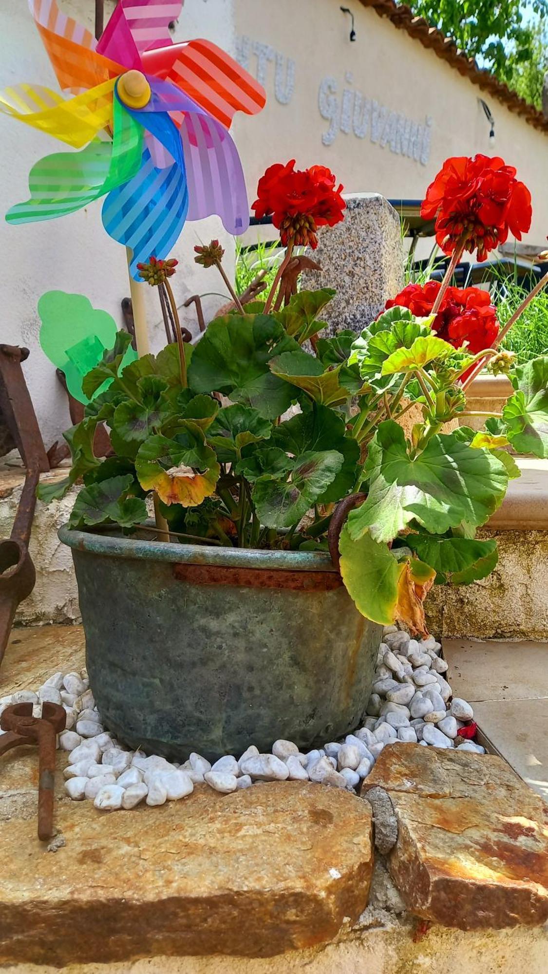 "B&B Santu Giuvanni" Fonni Luaran gambar